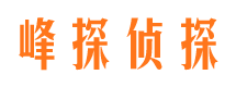 墨脱调查公司